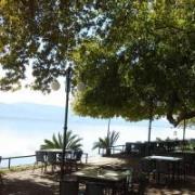 /customerDocs/images/avatars/31671/31671-ΚΑΦΕ-ΕΣΤΙΑΤΟΡΙΟ-ΦΑΓΗΤΟ-ΚΑΦΕΣ-ΕΞΟΔΟΣ-ΟΥΖΟ-ΘΕΑ-Η ΝΤΟΥΓΡΗ-ΔΟΓΡΗ-ΛΙΜΝΗ ΤΡΙΧΩΝΙΔΑΣ-LOGO.jpg